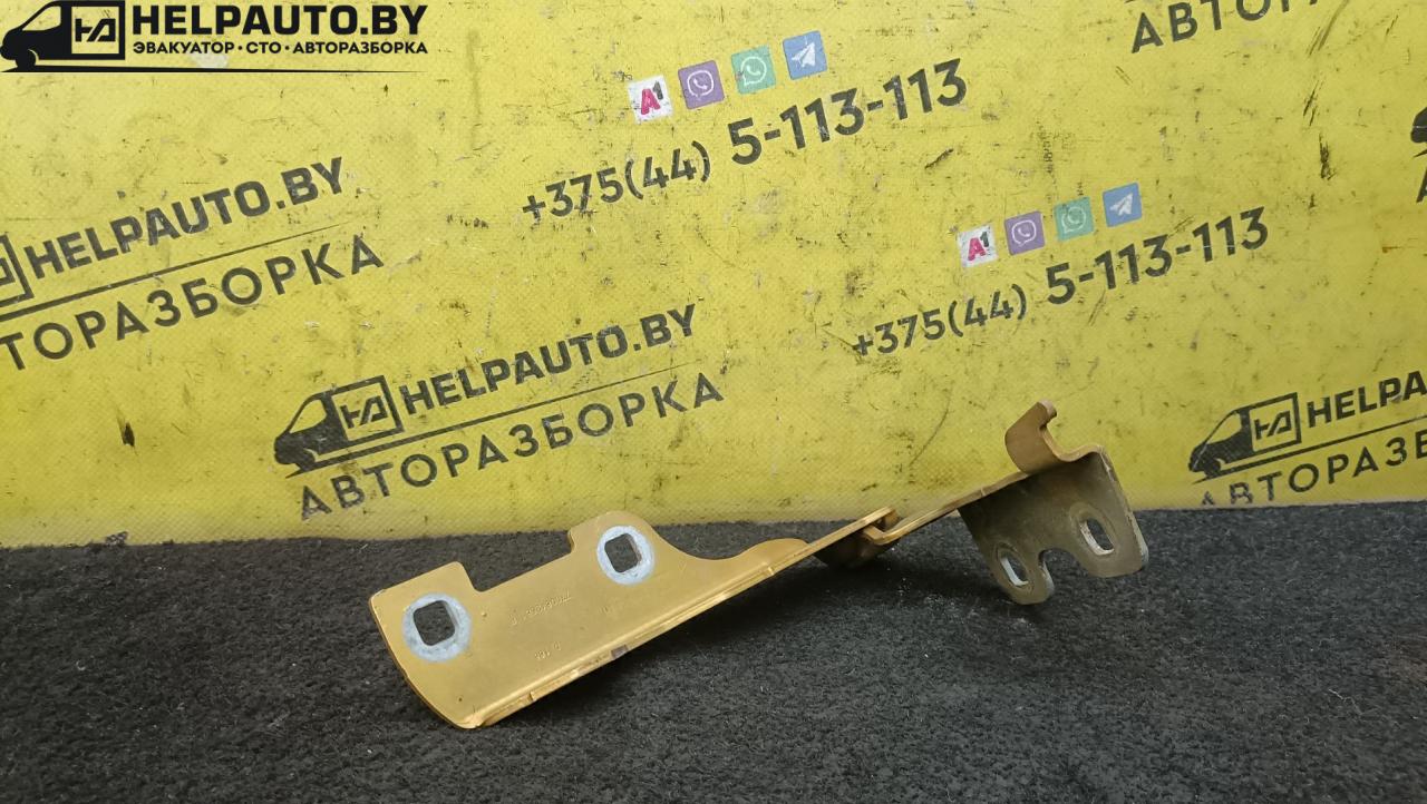 петля капота правая Renault Clio 2 поколение 1998, 1.2 л., бензин, золотистый, хетчбэк 3 дв., передний привод - фото №1