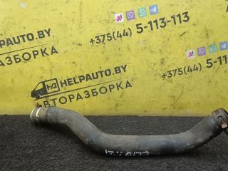 патрубок радиатора Renault Clio 2 поколение 1998, 1.2 л., бензин, золотистый, хетчбэк 3 дв., передний привод