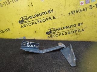 петля капота правая Ford Focus 1 поколение 2001, 1.8 л., дизель, МКПП, синий, универсал, передний привод