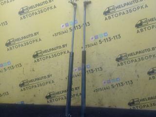 амортизатор крышки багажника (3-5 двери) Nissan Almera Tino V10 2001, 1.8 л., QG18DE, бензин, 5МКПП, зеленый, минивэн