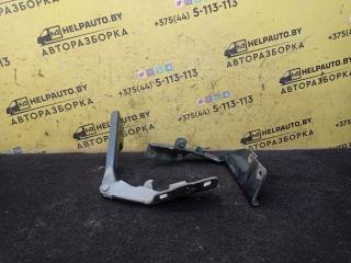 петля капота Nissan Almera Tino V10 2001, 1.8 л., QG18DE, бензин, 5МКПП, зеленый, минивэн