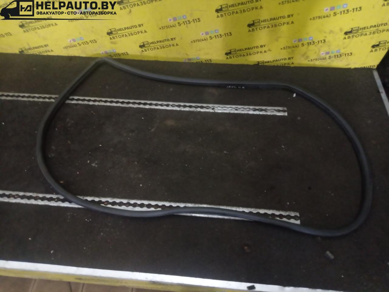 уплотнитель двери Honda Jazz 1 поколение 2002, 1.3 л., L13B, бензин, МКПП, голубой, хетчбэк 5 дв., передний привод - фото №1
