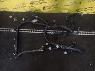 проводка двигателя Toyota Yaris P1 2001, 1.0 л., 1SZ-FE, бензин, МКПП, серебро, хетчбэк 5 дв., передний привод