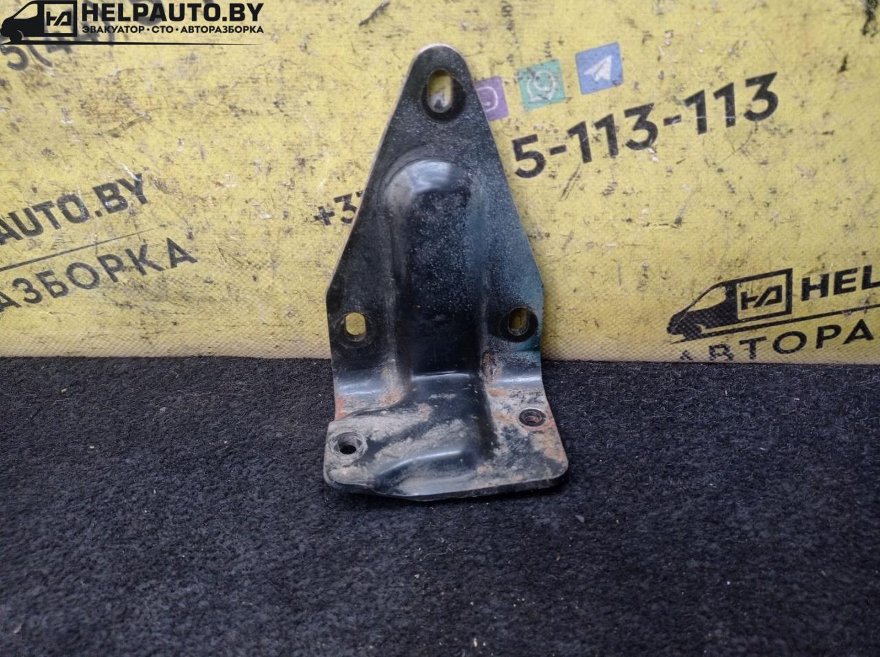 петля двери Chrysler Voyager 3 поколение 1997, 2.4 л., EDZ, бензин, АКПП, зеленый, минивэн, передний привод - фото №1