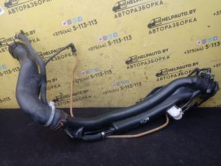 горловина топливного бака Peugeot 406 1 поколение 1997, 1.9 л., дизель, МКПП, серебро, седан, передний привод