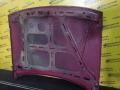 капот Opel Astra F 1992, 1.4 л., C 14 NZ, бензин, МКПП, красный, хетчбэк 5 дв., передний привод - фото №6