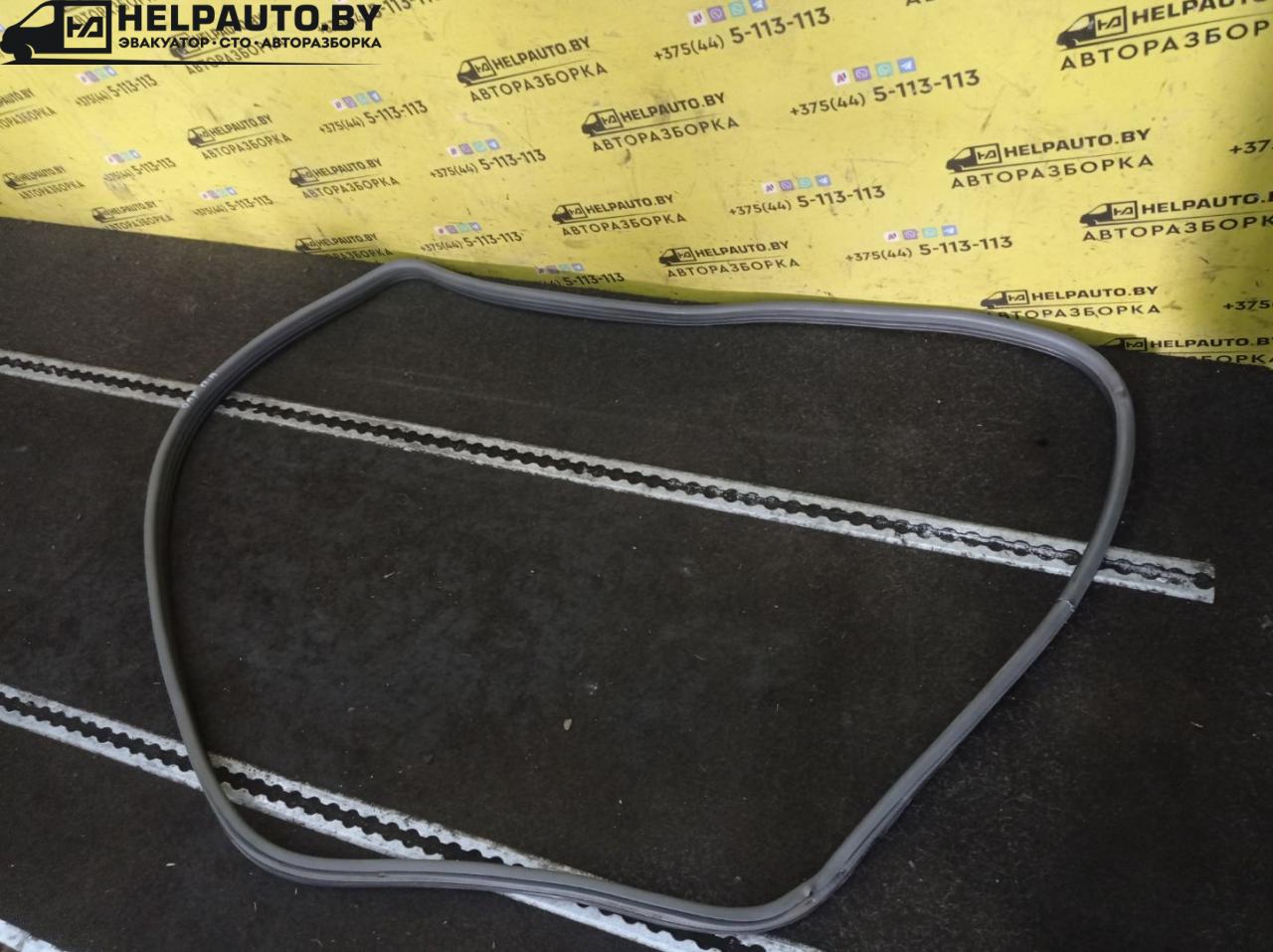 уплотнитель двери Opel Astra F 1992, 1.4 л., C 14 NZ, бензин, МКПП, красный, хетчбэк 5 дв., передний привод - фото №1