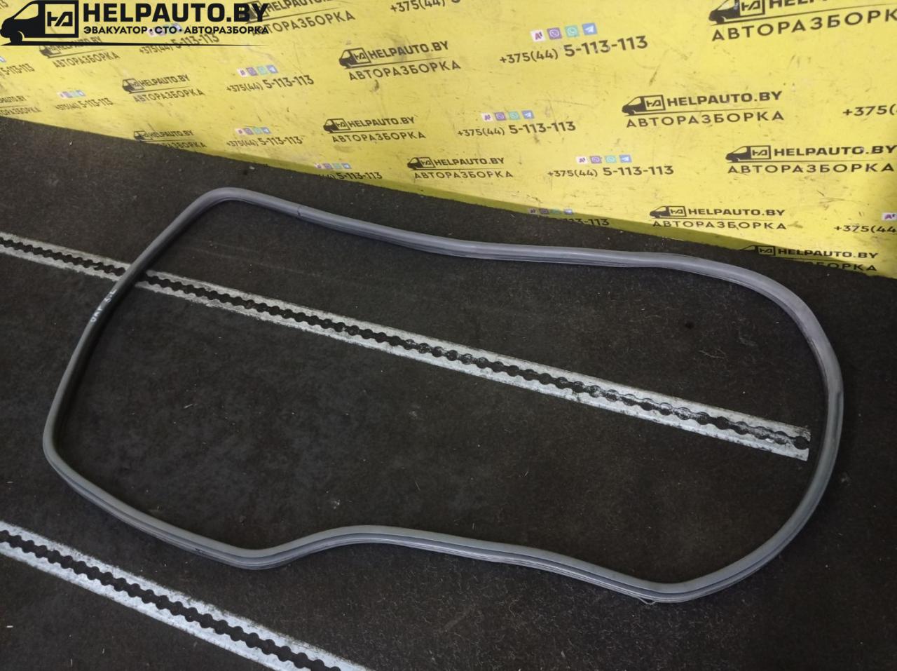 уплотнитель двери Opel Astra F 1992, 1.4 л., C 14 NZ, бензин, МКПП, красный, хетчбэк 5 дв., передний привод - фото №1