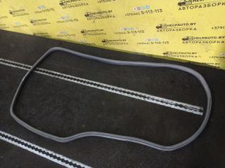 уплотнитель двери Opel Astra F 1992, 1.4 л., C 14 NZ, бензин, МКПП, красный, хетчбэк 5 дв., передний привод