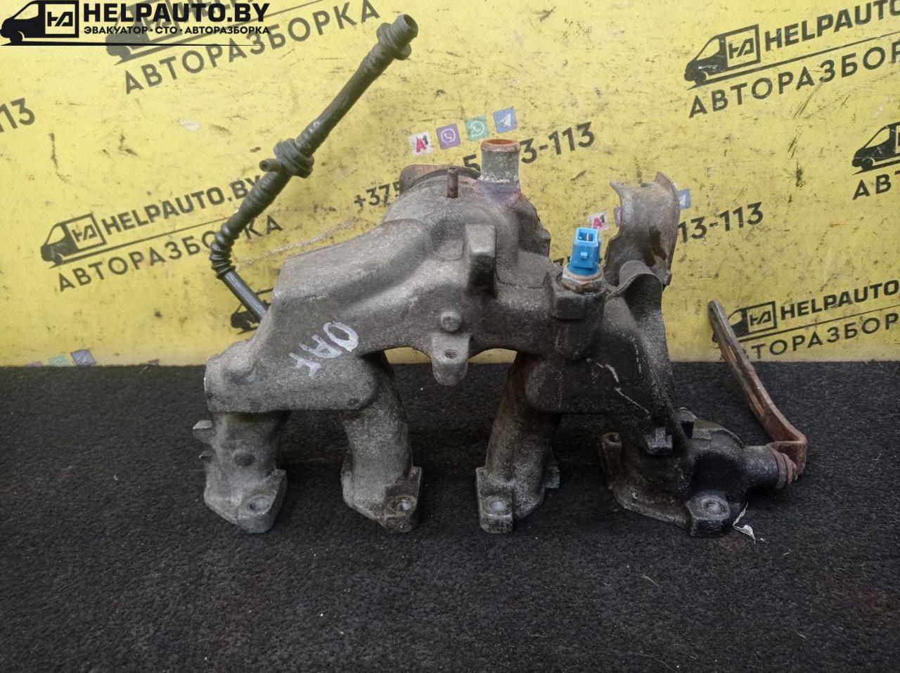 коллектор впускной Opel Astra F 1992, 1.4 л., C 14 NZ, бензин, МКПП, красный, хетчбэк 5 дв., передний привод - фото №1