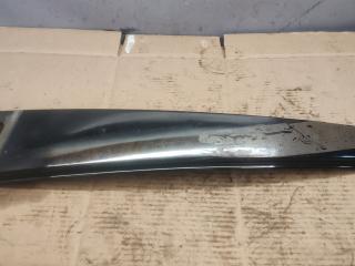 молдинг двери задней правой BMW X5 E70 2007, 3.0 л., M57 306 D3, дизель, АКПП
