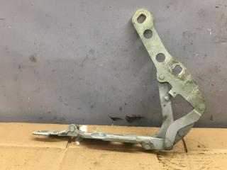 петля крышки багажника BMW 3 серия E46 [рестайлинг] 2003, дизель, 8200124