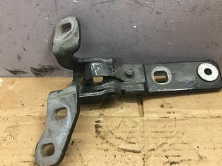 петля крышки багажника BMW X5 E70 2007, 3.0 л., M57 D30 (306D3), дизель, АКПП, внедорожник 5 дв., 7149627