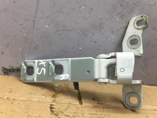 петля крышки багажника BMW X5 F15 2018, внедорожник 5 дв., 7294434
