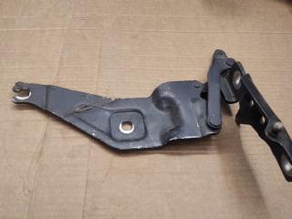 петля капота BMW X5 E70 [рестайлинг] 2011, 3.0 л., N57 D30 B, дизель, АКПП, темно-синий, внедорожник 5 дв., 7208627