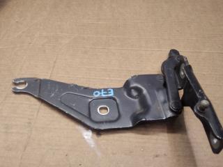 петля капота левая BMW X5 E70 2007, 3.0 л., M57 D30 (306D3), дизель, АКПП, внедорожник 5 дв., 7208627