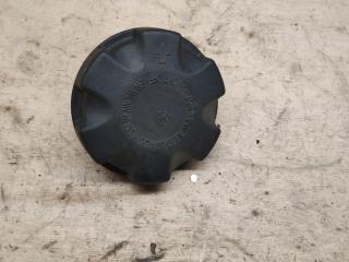пробка расширительного бачка BMW X5 E70 2007, 3.0 л., M57 306 D3, дизель, АКПП