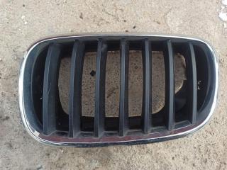 решетка капота BMW X5 E70 2009, 3.0 л., M57 D30 (306D3), дизель, 7171395