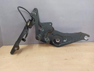 петля капота правая BMW X5 E70 2009, 3.0 л., M57 D30 (306D3), дизель, 7208628