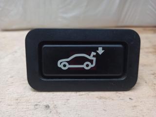 кнопка открытия багажника BMW X5 E70 2009, 3.0 л., M57 D30 (306D3), дизель, 8375580