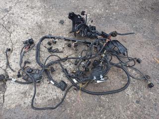 проводка двигателя BMW 3 серия F30/F31/F34 F30 2012, 3.5 л., N55 B30 A, бензин, АКПП, седан, задний привод