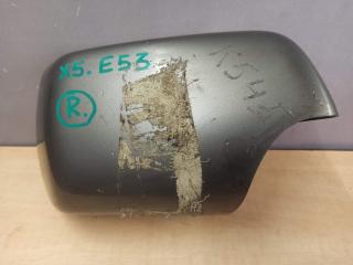 накладка на зеркало BMW X5 E53 [рестайлинг] (2003 - 2006)