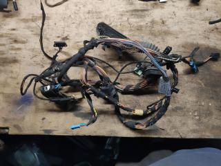 дверная проводка BMW X5 E70 2007, 4.8 л., N62 B48 A, бензин, 6977058