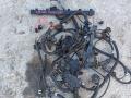 проводка двигателя BMW 5 серия F07/F10/F11 2011, 2.5 л., N52 B25 AF, бензин - фото №9