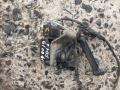 датчик дорожного просвета BMW 7 серия F01/F02 2010, 4.4 л., N63 B44 A, бензин, АКПП, черный, седан, 259160-10, 37146784075 - фото №3