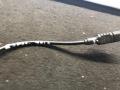 датчик ABS Mercedes-Benz E-Класс W211/S211 2004, 3.2 л., OM 648.961, дизель, АКПП, универсал, A2115402317, 2115402317 - фото №2