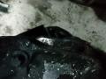 редуктор заднего моста Mercedes-Benz E-Класс W212/S212/C207/A207 2012, 2.1 л., OM 651.924, дизель, АКПП, темно-серый, седан, A2043501314, 2123508703 - фото №6
