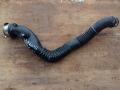 патрубок интеркулера BMW 1 серия E81/E87 [рестайлинг] 2008, 2.0 л., N47 D20 A, дизель, АКПП, хетчбэк 5 дв., 7797481 - фото №4