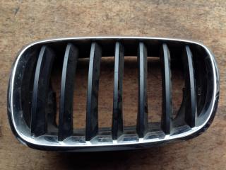 заглушка (решетка) в бампер BMW X5 E70 2008, 3.0 л., N52 B30 A, АКПП, внедорожник 5 дв., 7171395