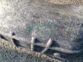 защита арок задняя правая (подкрылок) BMW X5 E70 [рестайлинг] 2011, 3.0 л., N57 D30 B, дизель, АКПП, внедорожник 5 дв. - фото №2