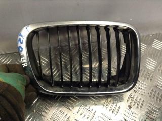 заглушка (решетка) в бампер BMW 5 серия E39 [рестайлинг] 2001, 2.9 л., АКПП, седан