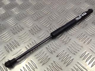 амортизатор капота BMW 5 серия E60/E61 2005, 3.0 л., M57 D30 (306D3), АКПП, седан