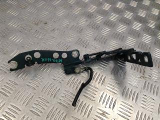 петля капота правая BMW 5 серия E39 [рестайлинг] 2001, 3.0 л., M54 B30 (306S3), бензин, АКПП, универсал