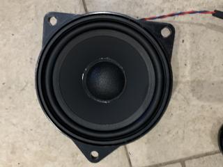 динамик двери BMW X5 E70 2009, 3.0 л., M57 D30 (306D5), дизель, АКПП, серый, внедорожник 5 дв.