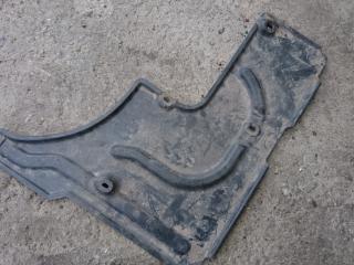 защита топливного бака BMW 7 серия E65/E66/E67 [рестайлинг] 2007, 3.0 л., M57 D30 (306D3), дизель, АКПП, черный, седан, 51717020538