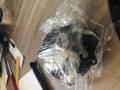 динамик двери BMW 5 серия F07/F10/F11 2012, 2.0 л., N47 D20 C, дизель, АКПП, седан, правый руль - фото №2