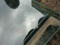 стекло двери задней правой BMW 7 серия F01/F02 2010, 4.4 л., N63 B44 A, бензин, АКПП, седан - фото №2
