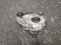 раздаточная коробка BMW X5 F15 2016, 4.0 л., N57 D30 B, дизель, 8643151, 8643153 - фото №4
