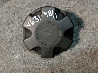 пробка расширительного бачка BMW X5 E70 2009, 4.8 л., N62 B48 A, бензин, АКПП, внедорожник 5 дв.