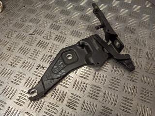 петля капота правая BMW X5 E70 2009, 3.0 л., M57 D30 (306D3), дизель, АКПП, внедорожник 5 дв., 7208628
