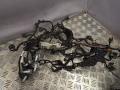 проводка двигателя Mercedes-Benz E-Класс W213/S213/C238/A238 2017, 2.2 л., дизель, A6541506500 - фото №4
