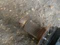 полуось задняя (приводной вал, ШРУС) BMW 7 серия F01/F02 2010, 4.4 л., N63 B44 A, бензин, 7566086 - фото №4