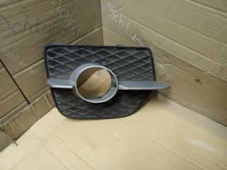 заглушка (решетка) в бампер BMW X6 E71/E72 2007