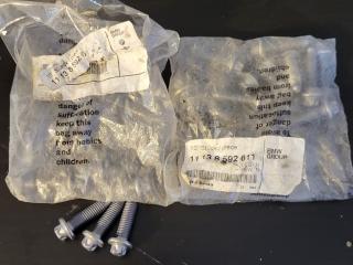 болт BMW, 11138592611, 8592611, 11137800621, 7800621, 11132246989, 2246989