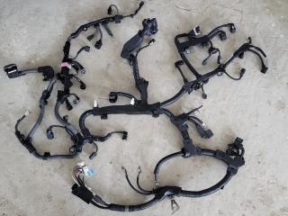 проводка двигателя Toyota RAV4 5 поколение (XA50) 2021, 2.5 л., бензин, вариатор, внедорожник 5 дв., 8212142N70