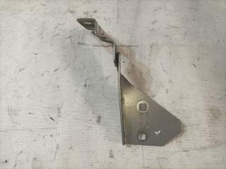 петля капота левая Renault Megane 3 поколение (2008 - 2014), 011074-E